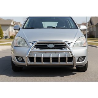 Bull Bar WT003 (Stainless Steel) photo 1