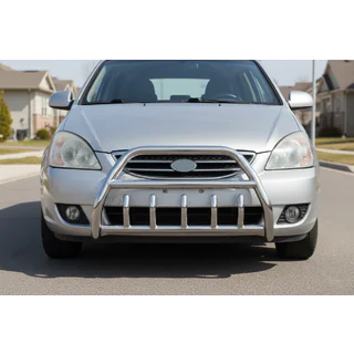 Bull Bar WT003 (Stainless Steel)