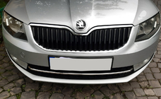 Skoda Octavia III A7 2013-2019 Stainless Steel Front Bumper Protector 13-17 photo 5