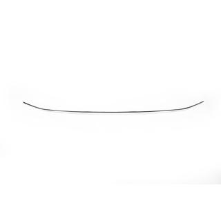 Front bumper protector 2016-2020 (stainless steel) photo 2