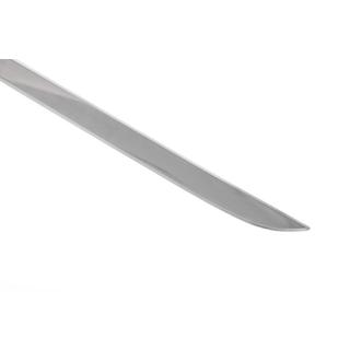 Trunk trim stainless steel photo 4