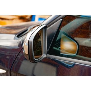 Mirror Covers (2 pcs, Stainless Steel) photo 4