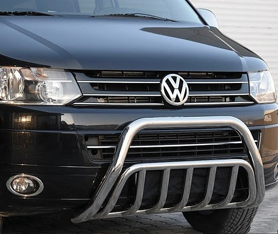 Briefly about the Roo, the advantages and choice of front protection