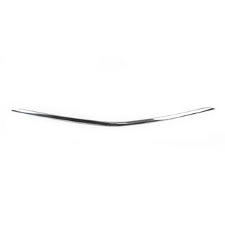 Bumper grille trim (stainless steel) photo 2
