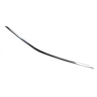 Bumper grille trim (stainless steel) photo 3