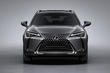 Compact crossover Lexus UX 200 photo 8