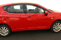 Seat Ibiza 2010-2017 Window Trim Stainless Steel photo 1