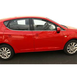 Window Trim Stainless Steel Seat Ibiza 2010-2017