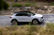 Compact crossover Volkswagen T-Roc photo 2