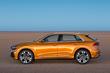 Review of the new premium crossover Audi Q8 photo 2