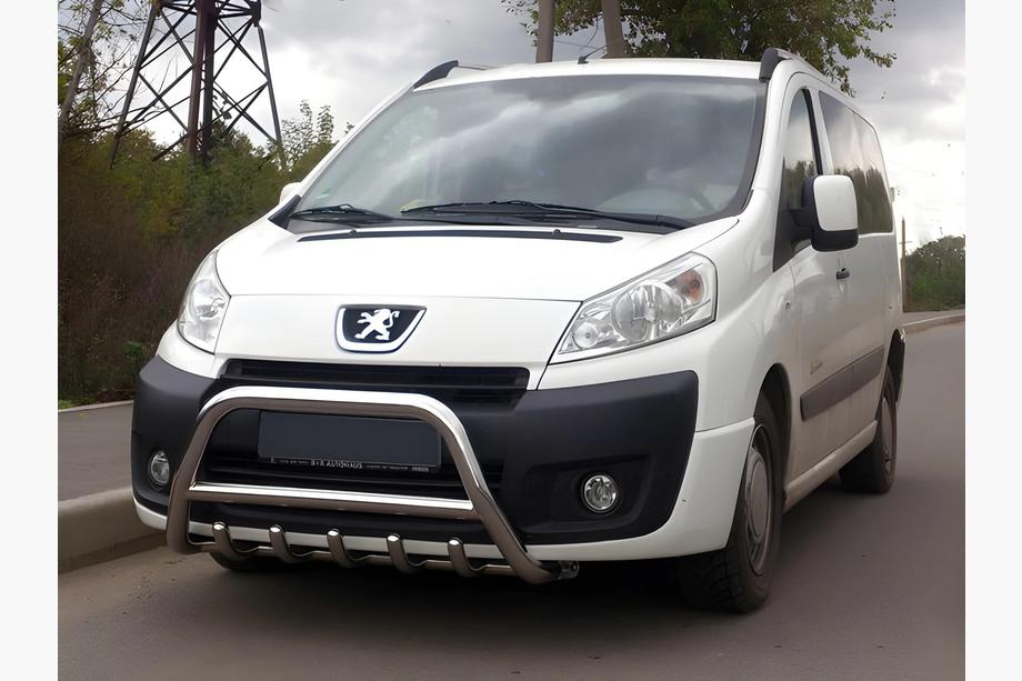 Fiat Scudo 2007-2015 Bull Bar WT003/4 (Stainless Steel) Image