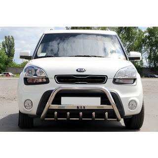 Bull Bar (Stainless Steel)