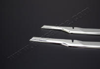 Ford Courier 2014-2023 Stainless Steel Rear Bumper Protector OmsaLine (2018↗, 2 pcs) photo 3