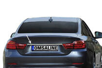 BMW 4 Series F32/F33/F36 2012-2020 Stainless steel trim above license plate photo 1