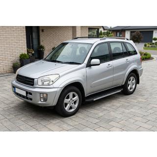 Side Steps Duru (2 pcs, Aluminum) photo 1