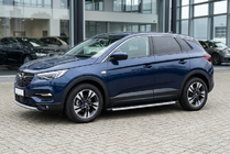 Opel Grandland X 2017- Side Steps Fullmond (2 pcs, Aluminum) photo 1
