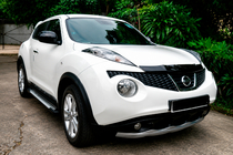 Nissan Juke 2010-2019 Side Steps Allmond Grey (2 pcs, Aluminum) photo 1