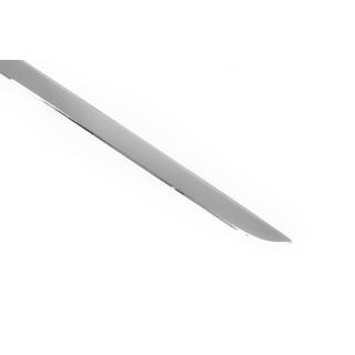 Trunk sill protector stainless steel photo 3