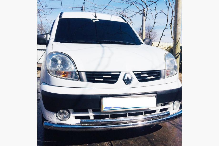 Renault Kangoo 1998-2008 Front Bull Bar ST014 (Stainless Steel) d60/42 Image