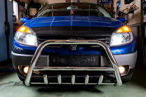 Renault Scenic/Grand 2003-2009 Bull Bar WT003 (Stainless Steel) photo 2