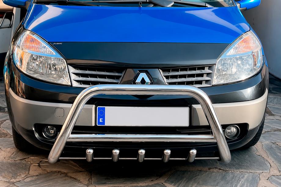Renault Scenic/Grand 2003-2009 Bull Bar WT003 (Stainless Steel) Image
