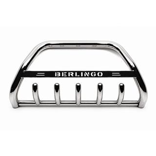 Bull Bar WT004 Stainless Steel