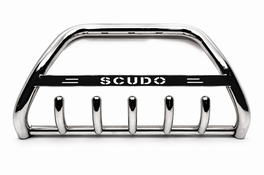 Fiat Scudo 1996-2007 Bull Bar WT004 Stainless Steel Image