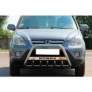 Bull Bar WT004 Stainless Steel photo 2