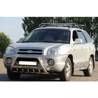 Bull Bar WT004 Stainless Steel
