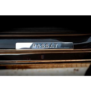 Door Sill Protectors OmsaLine Type 1 (4 pcs, Stainless Steel) photo 3