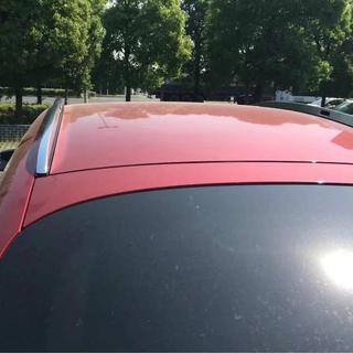 OEM Roof Rails photo 2