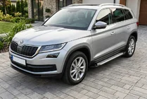 Skoda Kodiaq 2016-2023 Side Steps Allmond Grey (2 pcs, Aluminum) photo 1
