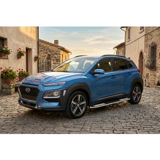 Side Steps Tayga V2 (2 pcs, Aluminum) photo 1