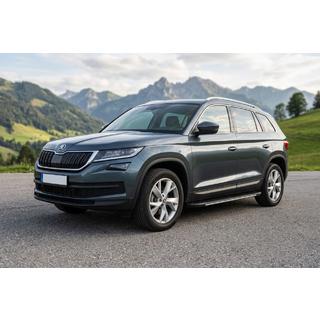 Side Steps Bosphore Grey (2 pcs, Aluminum) Skoda Kodiaq 2016-2023 photo 1