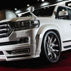 Toyota Land Cruiser 200 2007-2021 Body Kit Set 2016-2021 (Wald) photo 27