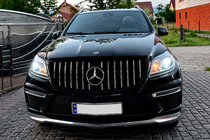 Mercedes GL/GLS class X166 2012-2019 GT Panamericana front grille (for GL High) photo 3