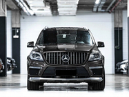 Mercedes GL/GLS class X166 2012-2019 GT Panamericana front grille (for GL High) photo 1