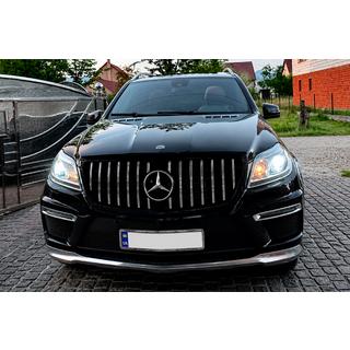 GT Panamericana front grille (for GL High) photo 3