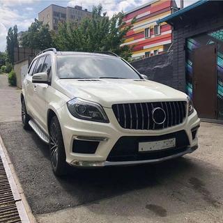 GT Panamericana front grille (for GL High) photo 4