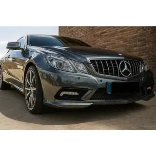 Front Grille (2009-2013, GT Panamericana)