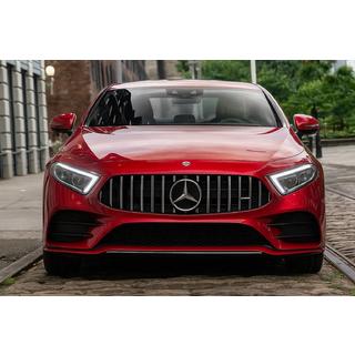 Front Grille (GT Panamericana) Mercedes CLS C257 2018- photo 1