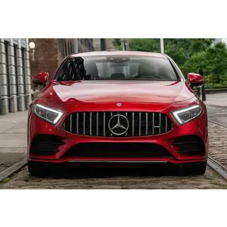 Front Grille (GT Panamericana)