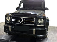 Mercedes G class W463 1990-2018 Front Grille (AMG) photo 5