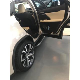 Side Steps BlackLine (2 pcs) photo 2