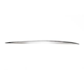 Trunk Trim Stainless Steel photo 2
