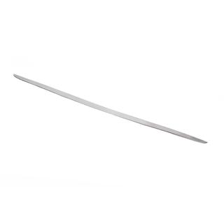 Trunk Trim Stainless Steel photo 4