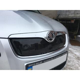 Winter grille cover (2007-2010, upper) photo 2
