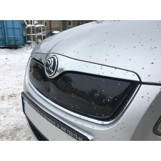 Winter grille cover (2007-2010, upper) photo 3