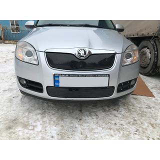 Winter grille cover (2007-2010, upper) photo 4