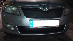 Skoda Fabia 2007-2014 Winter grille cover (2011-2014, upper) Glossy photo 2